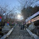 여수기억 | [여수 가볼만한곳] 여수 여행 중 가장 기억에 남았던 향일암 다녀온 후기(주차, 소원초, 3불석상 뜻)