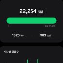 세븐일레븐 오금제일점 | 한큐백화점 + 오오야마 모츠나베 + 후쿠오카 공항 면세점 쇼핑 + 후쿠오카 공항 세븐일레븐 편의점 쇼핑