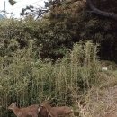 산어울림 산악회3월2일 영광 낙월도 섬트레킹 이미지