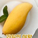 자연농업이리온