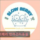 TL 애견미용실 | 대구 반려동물비용 애견미용 강아지 고양이 슬로베리 반려견미용실 반려동물 맞춤 케어 전문