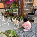 (주)진솔원 | 부여 규암면_부여안방마님_가족모임 펜션 추천!_한 달 만에 또 다녀온 후기