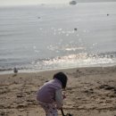 밧지름해수욕장 공중화장실 | 왕산해수욕장 원터치텐트 후기, 아이랑 두 번 다녀온 이유 (주차, 모래놀이, 편의점)