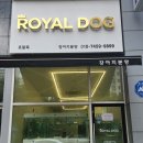 로얄독 강아지분양 화성동탄점 이미지