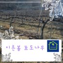 육일농원 이미지