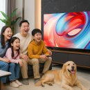 스마트한 일상즐기기 | 삼성·LG TV와 비교해도 손색없는 TCL 4K UHD HDR 스마트 TV 추천 및 실사용기 후기