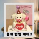 삡삡 | 홍대 케이크 추천) 홍대 삡삡 동물 케이크 후기