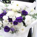 더 피올라 플라워 이미지