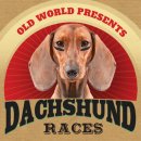 런닝 도그(running dog) | 닥스훈트 레이싱(Dachshund Racing)
