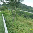 축동주유소 이미지