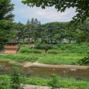 탄동천2 이미지