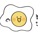 디프리투어 이미지
