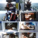 강구바다 이미지