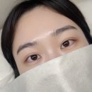분당-258 | 분당 속눈썹펌 버베인뷰티 n번째 방문한 내돈내산 후기