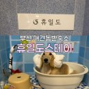 찌지미식당 | 부산 근교 애견동반숙소 찜질도 가능한 휴일도 스테이