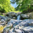 구밭골식당 이미지