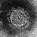 효성초교 이미지