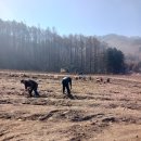 금문농장2 이미지