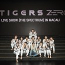 K-타이거즈 더팩트