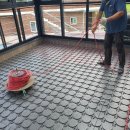 검빵이네 이미지