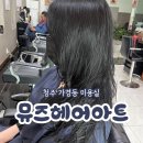 청주 가경동 미용실 청주 버스터미널 미용실 뮤즈헤어아트 흑발 후기