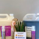 뉴데이 반려견 미용실 이미지