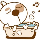 따숩개하우스 이미지