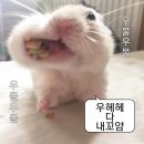 서면경로식당 | 부산 퍼스널컬러 진단, 웨딩컨설팅 추천ㅣ서면 &#39;드로우미&#39;