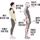 꼬모필라테스