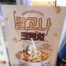 송하다방 이미지