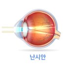 으뜸플러스안경 속초점 이미지
