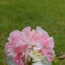 청운동물병원 이미지