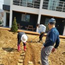 에버스트리트 이미지