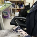 코코실업 이미지