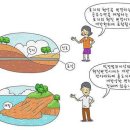 `토지형질변경`이란... 이미지