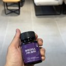 올봄 | 파라다이스그레인추천, 올데이봄 파라다이스 그레인 올데이 구매 후기