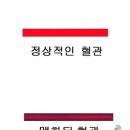 맥스포츠마사지 네이버블로그
