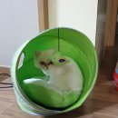 펫클럽 연희점 이미지