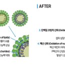 윤슬메디칼 이미지