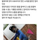 한줄기 이미지