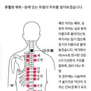 약손월드 이미지
