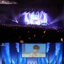 서프라이즈 이미지