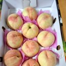 둥구리영농조합법인 이미지