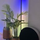 RAN아기자기