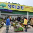 청마조경 이미지