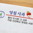 진이농원