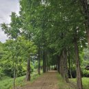 큰맘할매순대국 영월남면점 이미지