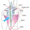 로하핏스튜디오 이미지