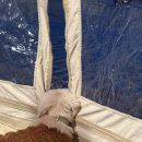 태학산 오토캠핑장 남자화장실 | 경주 산내면 오토캠핑장 산내956 애견동반 캠핑 후기