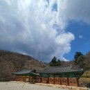 영감사 Daum카페